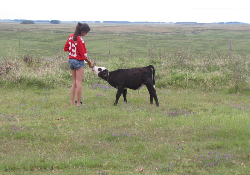 Uruguay Estancia los Platanos Kalb