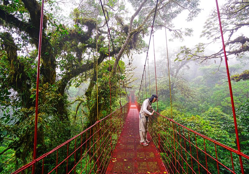 Costa Rica Monteverde Nebelwald
