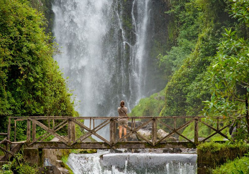 Ecuador Amazonas Regenwald Wasserfall