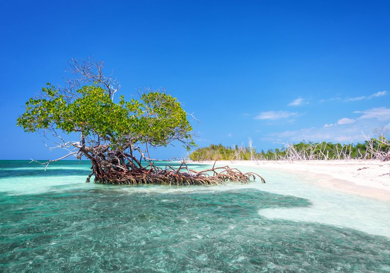 Kuba Strand Cayo Levisa