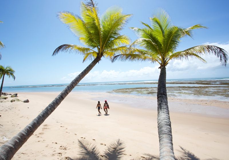 Brasilien Strand Palmen