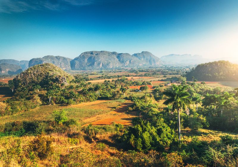 Kuba Vinales Tal iStock 1170498654