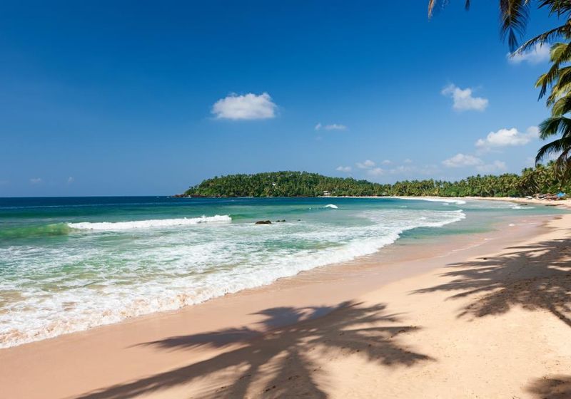 Sri Lanka Mirissa Palmen Strand Badeort