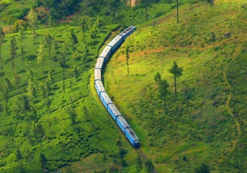 Sri Lanka Zug Zugfahrt Dschungel Wald
