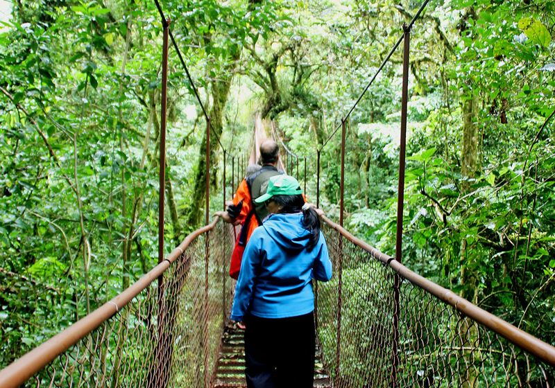 Panama Boquete Hanging Bridges