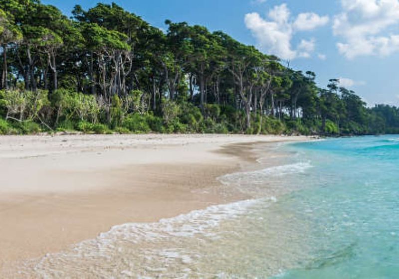 indien andamanen barefoot havelock