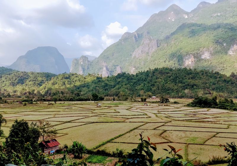 Reisfelder Wanderung Laos
