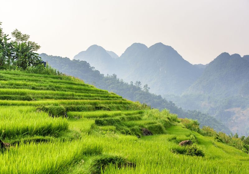 pu luong nature reserve in vietnam 4180208 Pixabay
