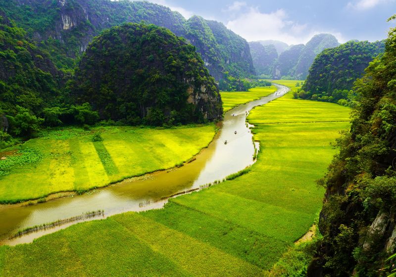 Vietnam Reisfeld und Fluss in NinhBinh iStock 485737360
