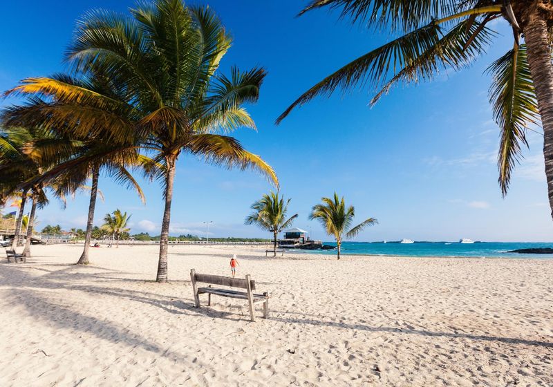 Strand Isabela AdobeStock 202673239 correct (1)