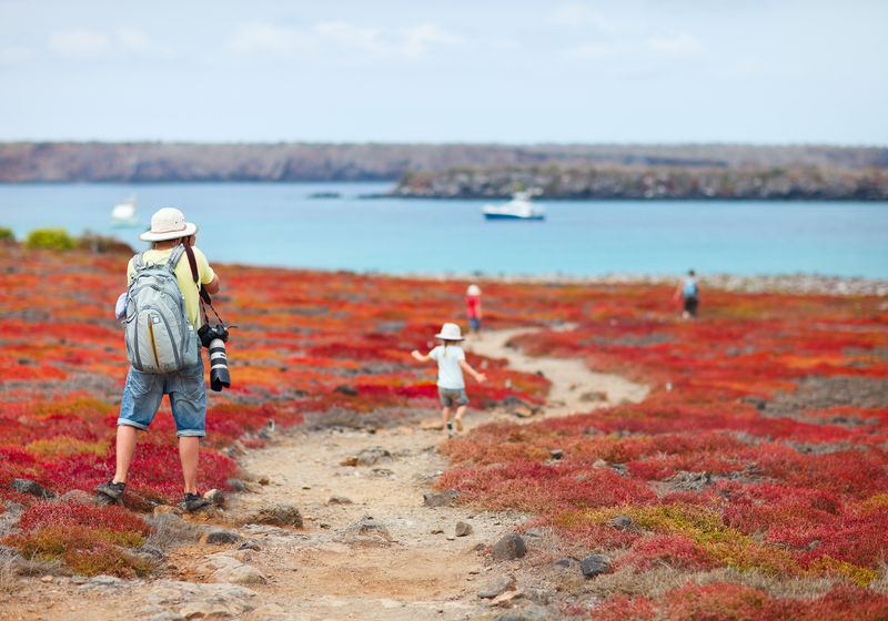 Ecuador Galapagos Plazas AdobeStock 49380510