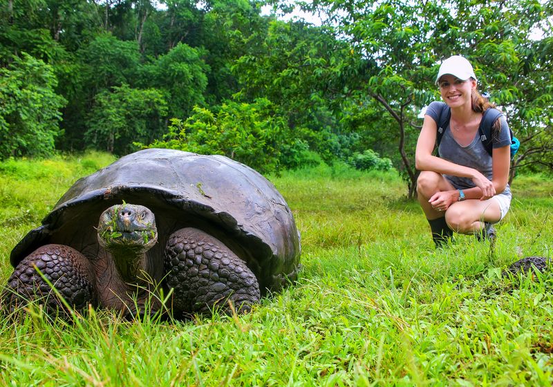 Ecuador Galapagos Schildkröte mit Mensch AdobeStock 176310436