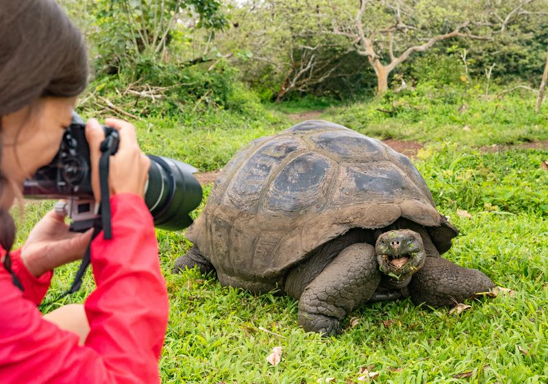 Ecuador Galapagos Schildkröte und Fotograf AdobeStock 279573494