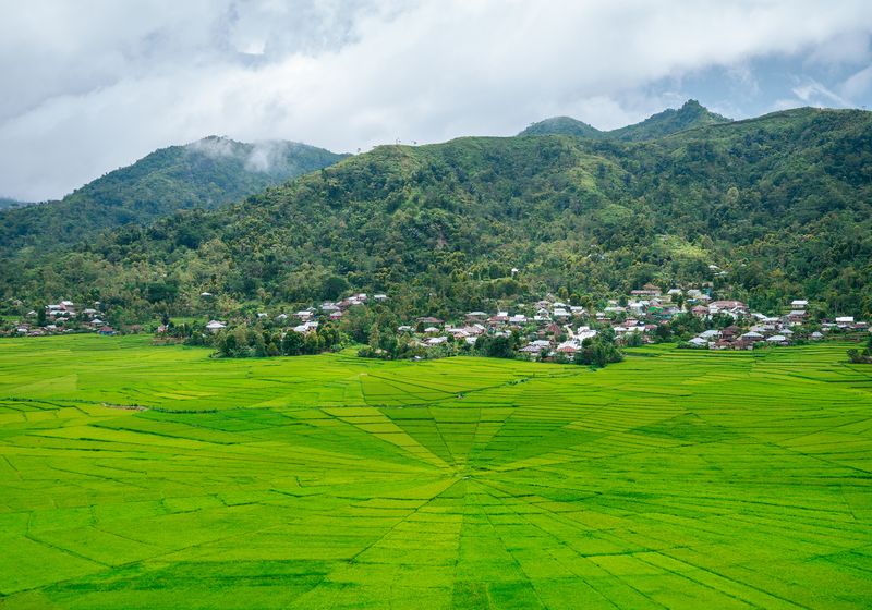 Indonesien-Ruteng-Spiderweb-Reisfeld