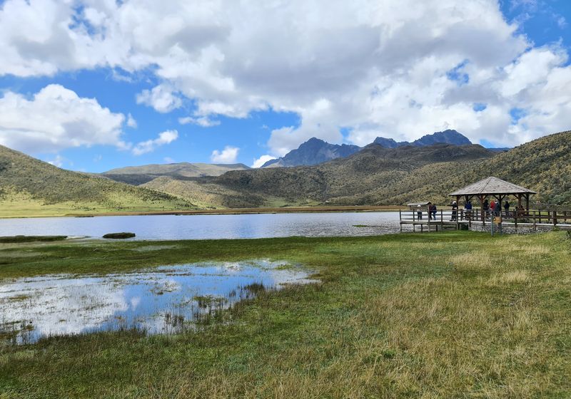 Ecuador-Cotopaxi-Laguna Limpiopungo-eigenes Bild