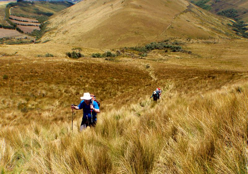 Ecuador-Cotopaxi-Páramo-Landschaft-eigenes Bild