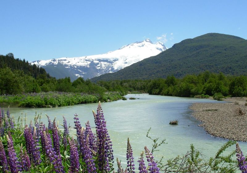 Argentinien- Bariloche- Lago mit Lavendel- eigens Bild