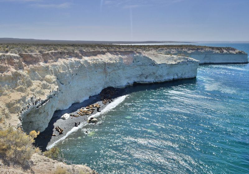 Argentinien - Peninsula Valdes - Latinconnect