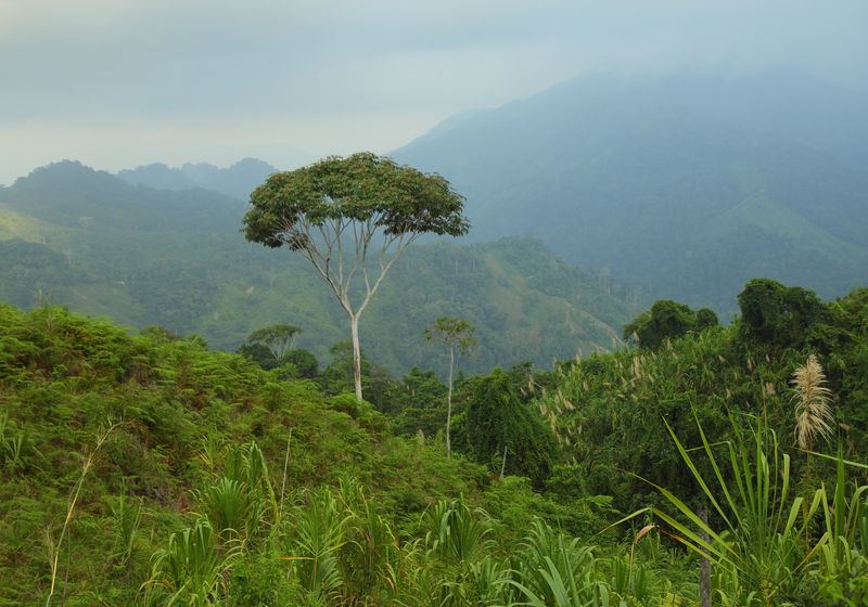 Kolumbien-Ciudad Perdida-Latinconnect