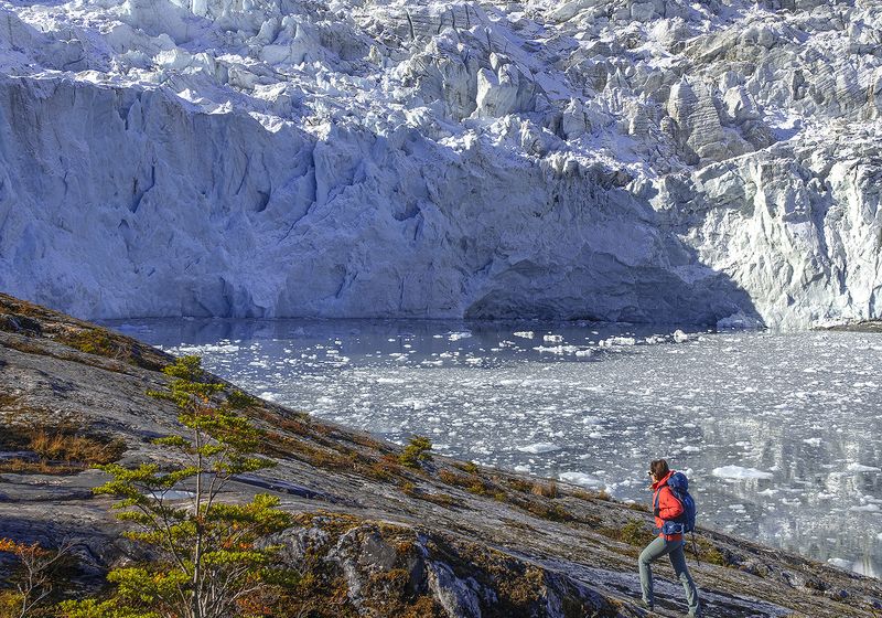 Argentinien(Chile - Cruceros Australis - Wanderung - Bild von Australis