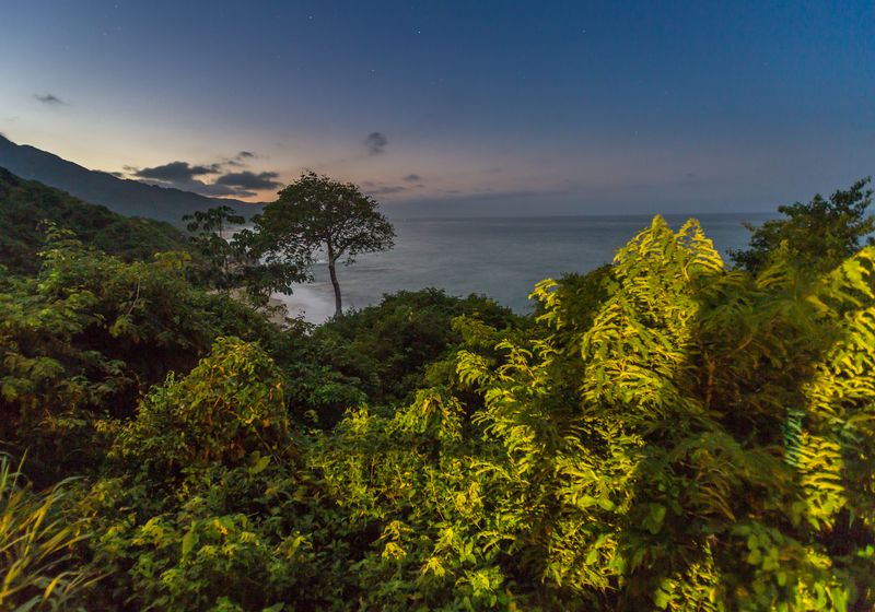 Kolumbien-Tayrona Nationalpark-Regenwald-Neptuno