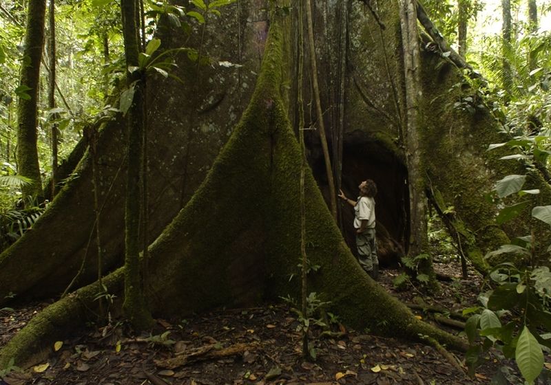 Ecuador-Amazonas-Latinconnect