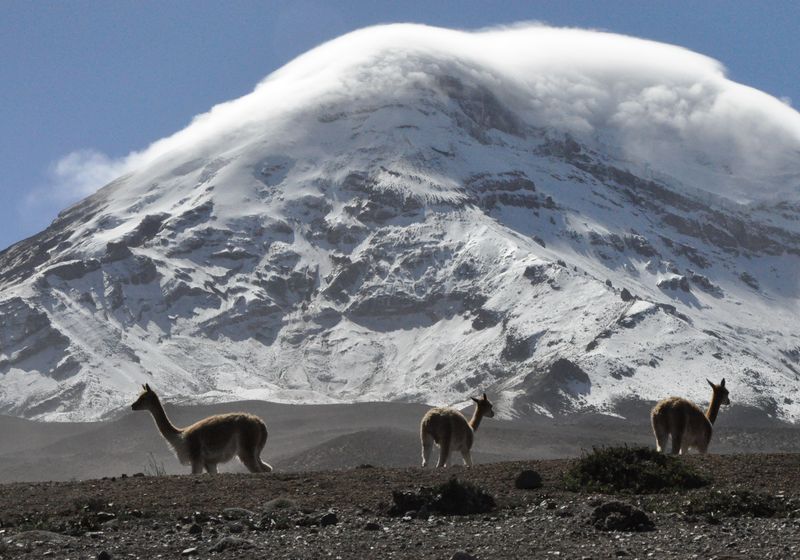 Ecuador-Chimborazo-Latinconnect