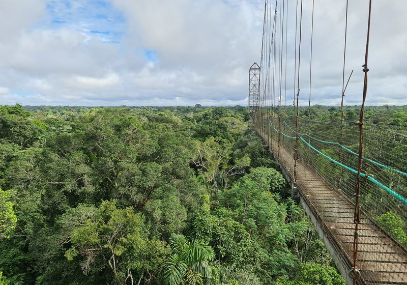 Ecuador-Sacha Lodge-Canopy Tour-Latventure (Kai Single)