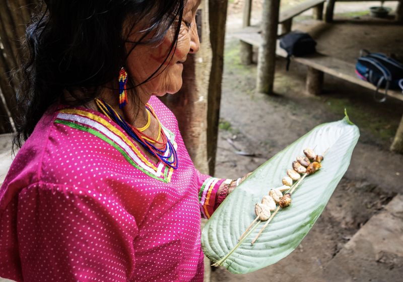 Ecuador-Hakuna Matata-Adobe