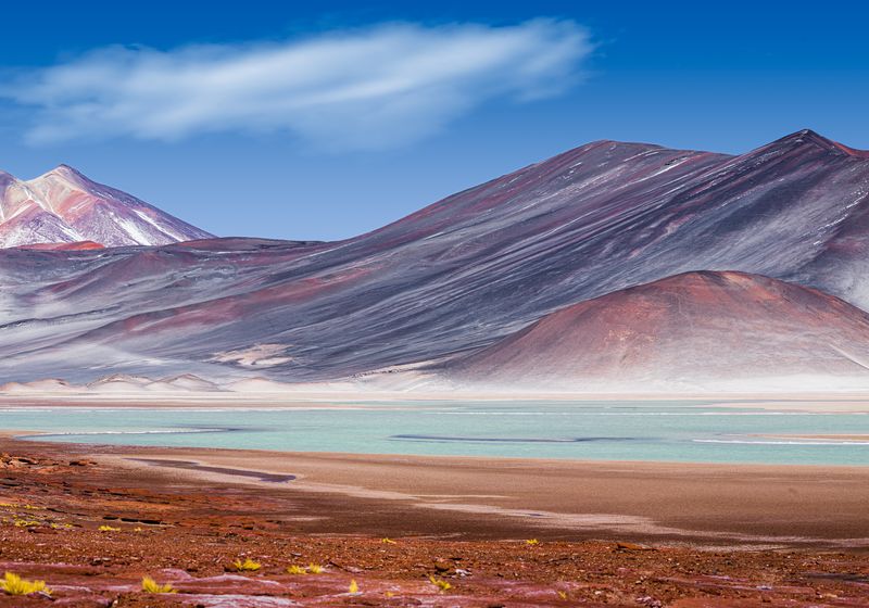 Chile - Laguna Altiplanica - Adope