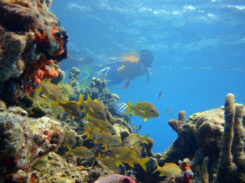 kolumbien islas del rosario strand mit boot