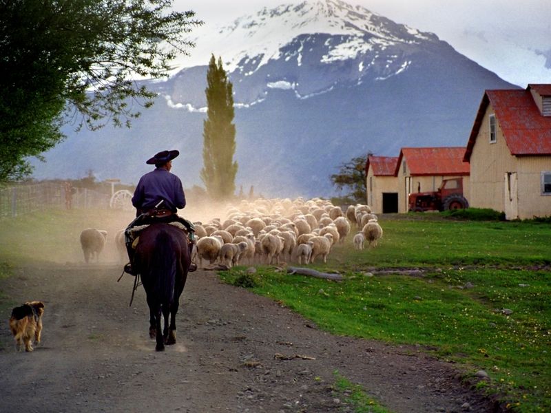 Argentinien - Calafate - Nibepo Aike- Outside - Latinconnect