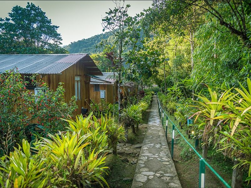 peru manu bergnebelwald