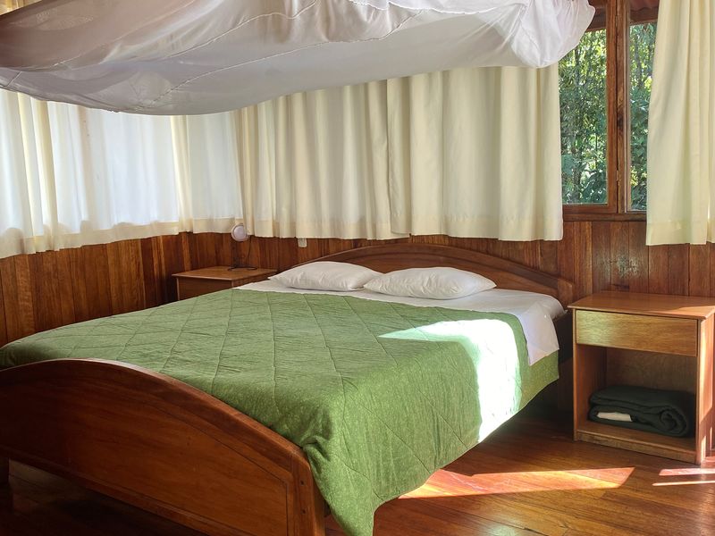 peru manu bergnebelwald