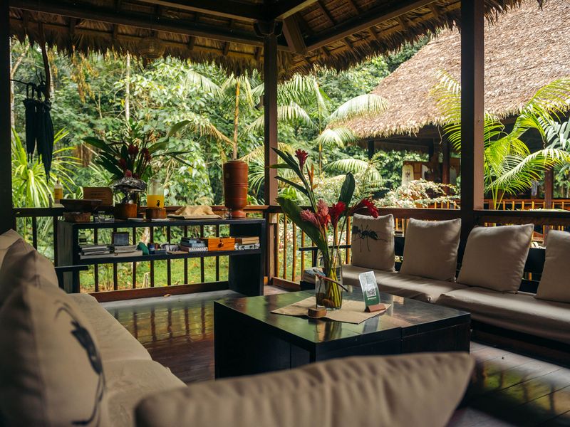 peru roter bruellaffejpg