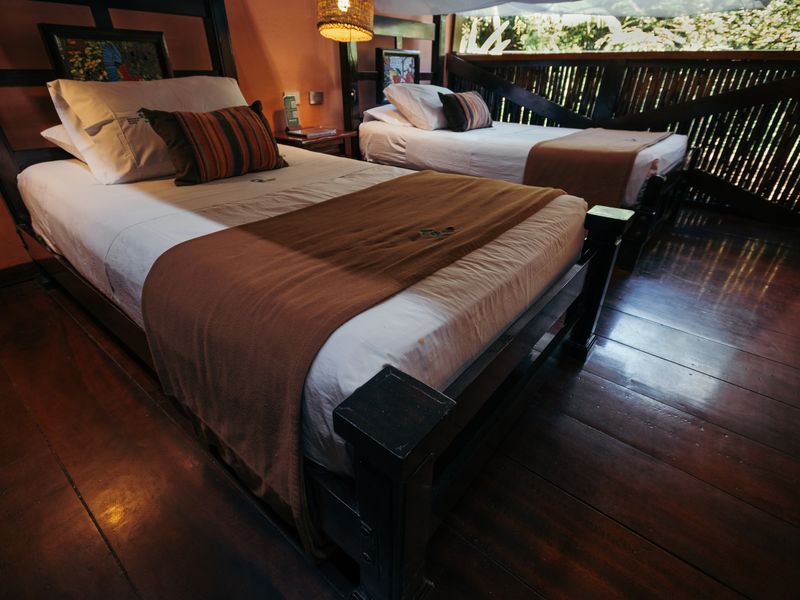 peru roter bruellaffejpg