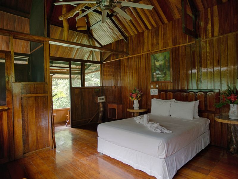 peru roter bruellaffejpg