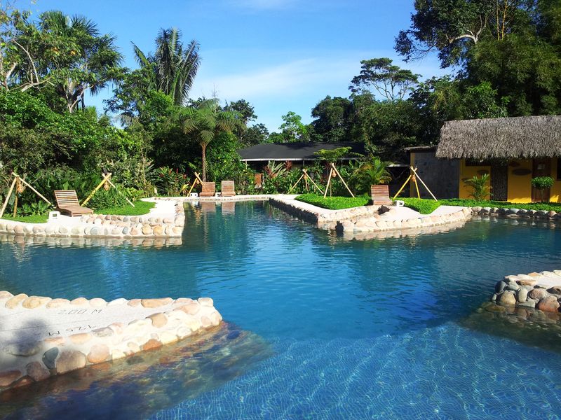 Ecuador Hakuna Matata Affe