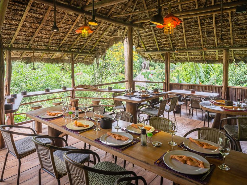 Ecuador Hakuna Matata Affe