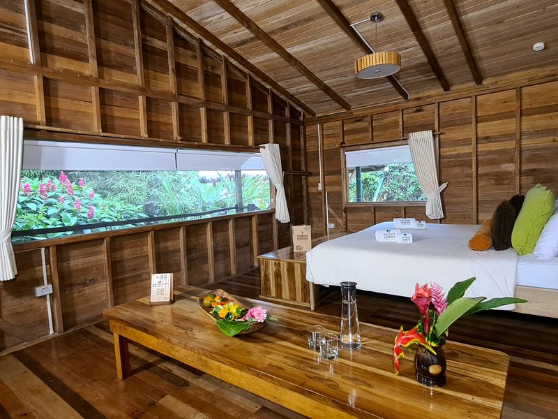 Ecuador Hakuna Matata Affe