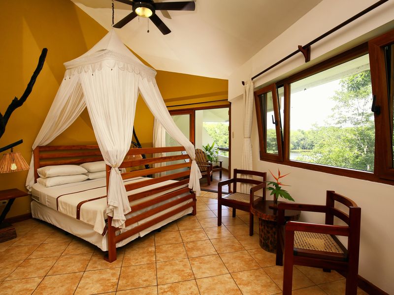 Guatemala Rio Dulce Vogel