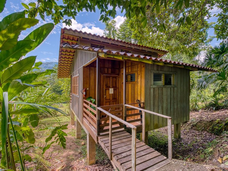 Costa Rica Selva Bananito Lodge Aussicht2